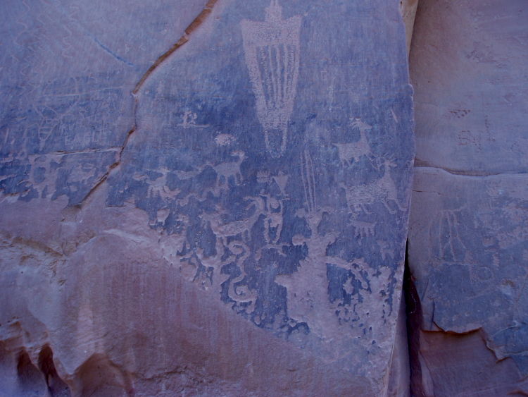 Copy of P4160026.jpg